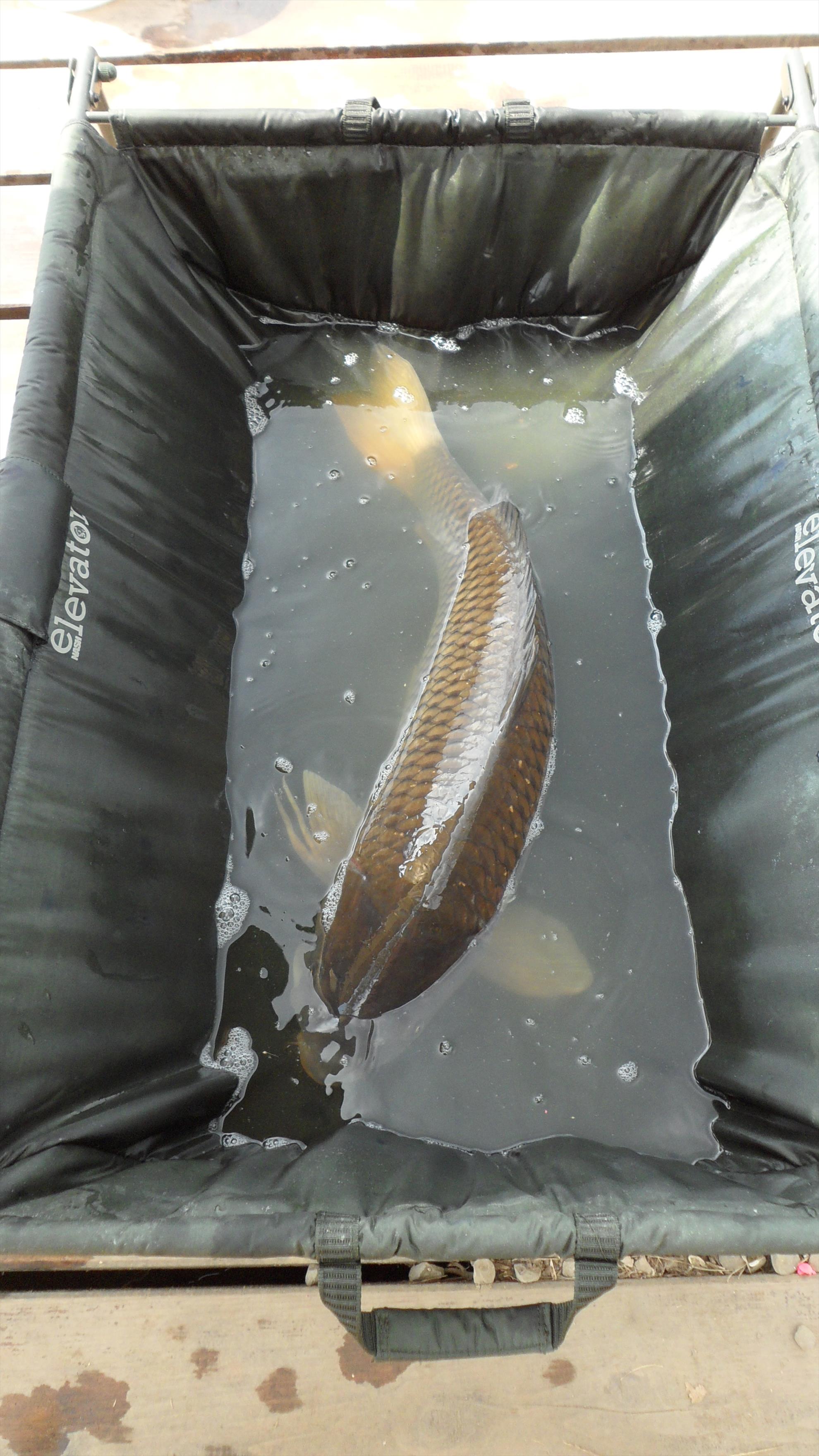 Pleasa1 21 - 22 septembrie 2014 - sam0294.JPG